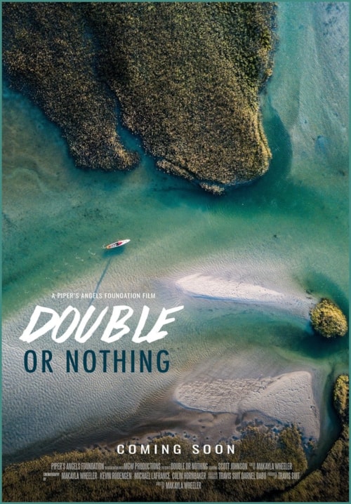 Double or Nothing poster